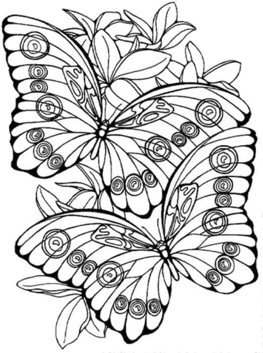 Coloring Butterflies in flowers. Category butterflies. Tags:  Butterfly, flowers.