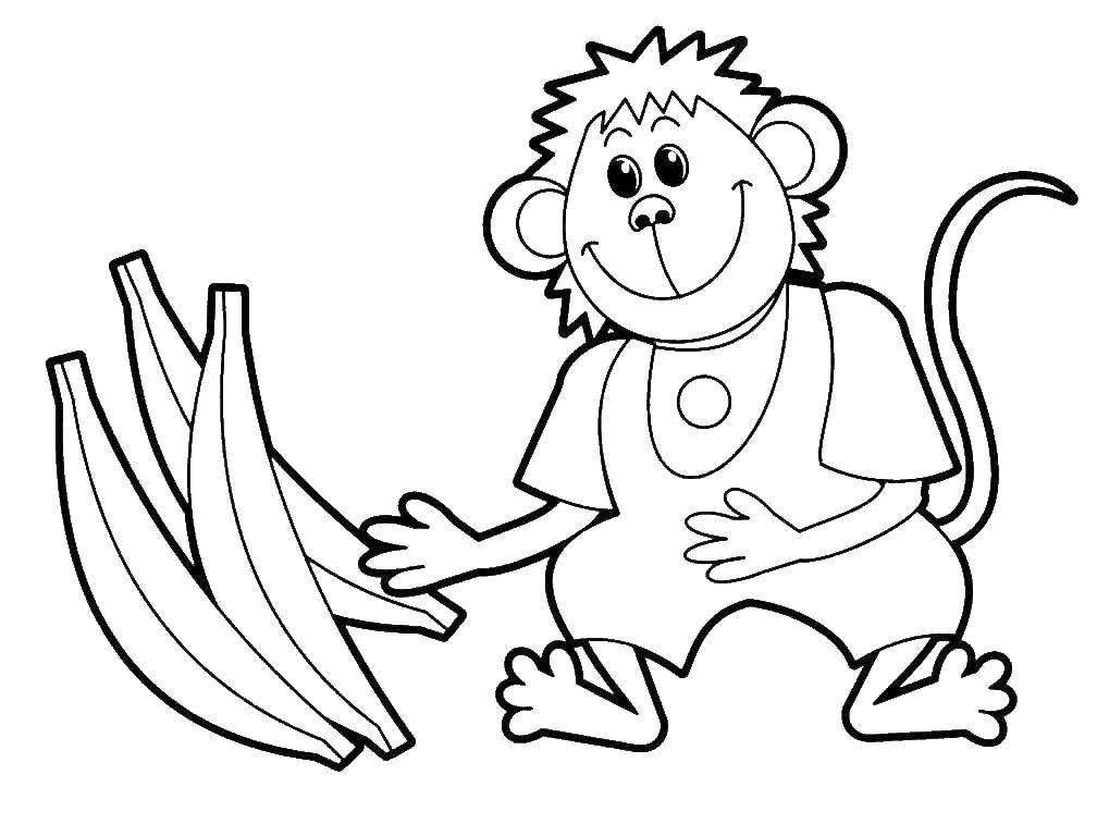 Coloring Monkey with bananas. Category wild animals. Tags:  APE.