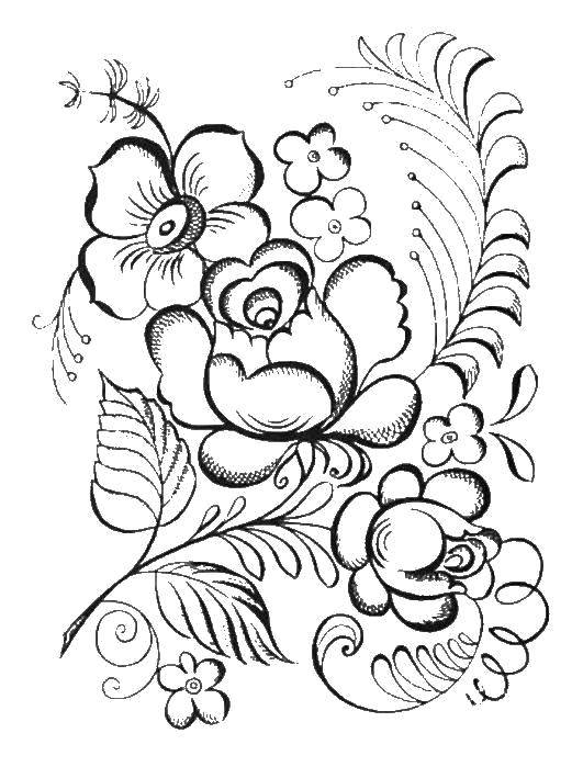 Coloring Patterned flower. Category flowers. Tags:  Flowers.