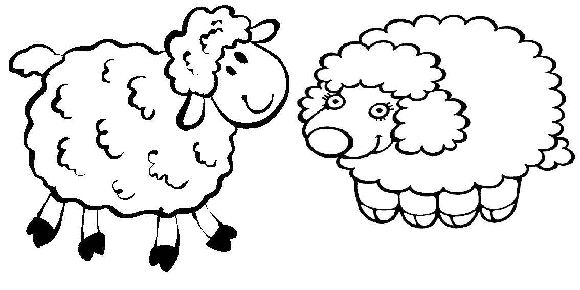 Название: Раскраска Милые овечки. Категория: Раскраски для малышей. Теги: Животные, овечка.