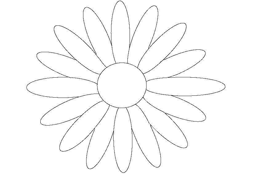 Coloring Daisy. Category coloring for little ones. Tags:  Flowers, chamomile.