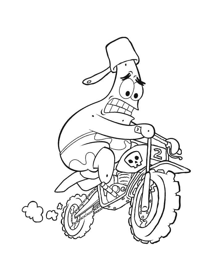 Coloring Patrick on the bike. Category Spongebob. Tags:  Cartoon character, spongebob, spongebob, Patrick.