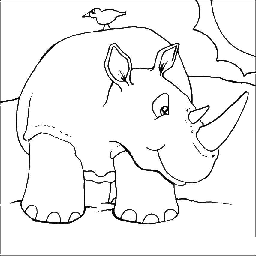 Coloring Rhino. Category wild animals. Tags:  Rhino.