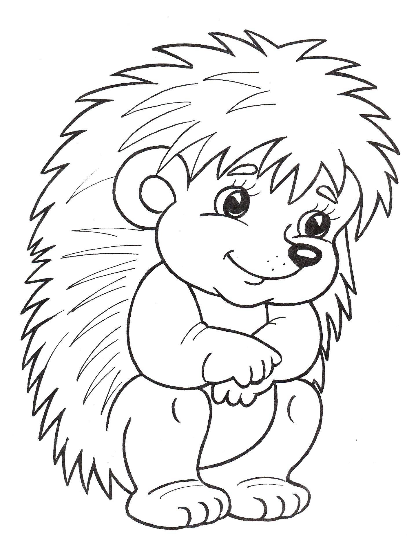 Coloring Cute hedgehog. Category Coloring pages for kids. Tags:  animals, hedgehog.