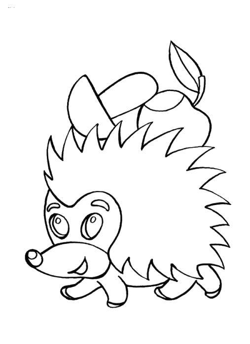 Coloring Hedgehog with mushrooms and apples. Category little ones. Tags:  animals, hedgehog, mushroom.
