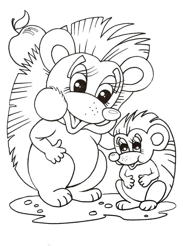 Coloring Hedgehogs. Category Animals. Tags:  animals, hedgehog.