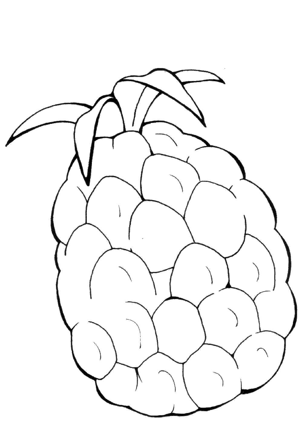 Название: Раскраска Ананасик. Категория: фрукты. Теги: Фрукты, ананас.