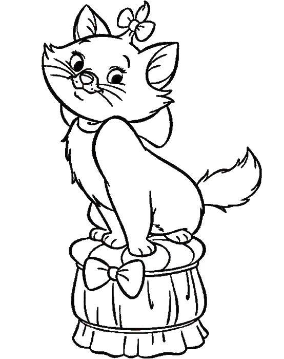 Coloring Disney kitty. Category bows. Tags:  Bow, bow.
