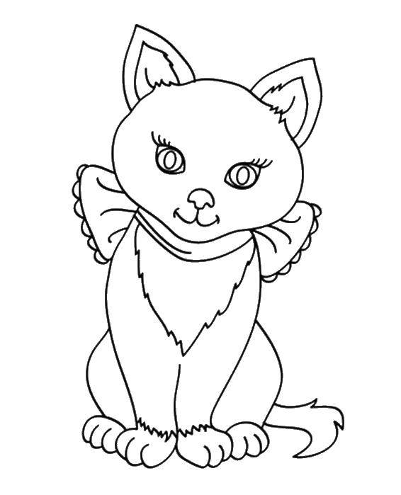Coloring Kitty with a bow. Category bows. Tags:  Bow, bow.