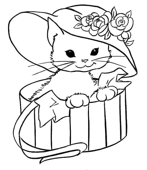 Название: Раскраска Кот в шляпке с цветами. Категория: домашние животные. Теги: кот, шляпка.