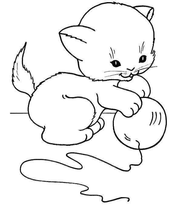 Название: Раскраска Котёнок играет с клубочком. Категория: Животные. Теги: Животные, котёнок.