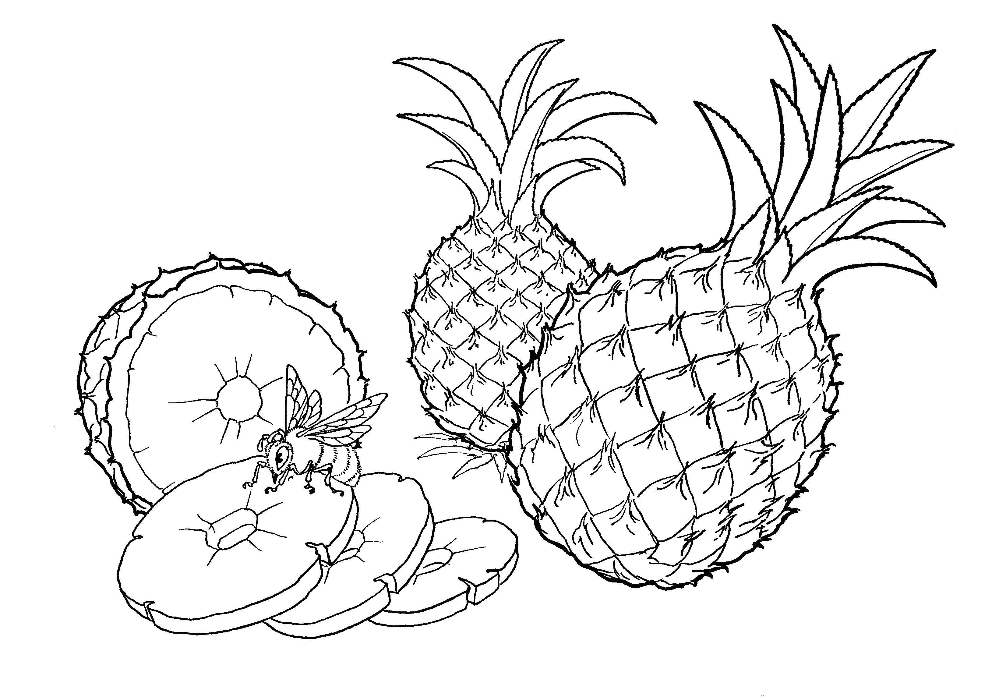 Название: Раскраска Нарезанный ананас. Категория: фрукты. Теги: Фрукты, ананас.
