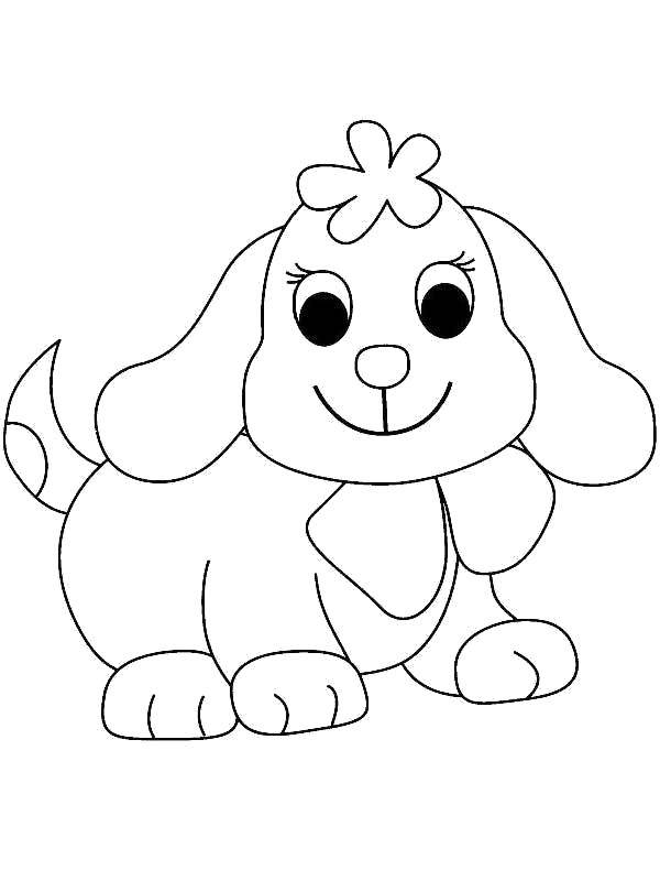 Coloring Puppy. Category coloring for little ones. Tags:  Animals, dog.