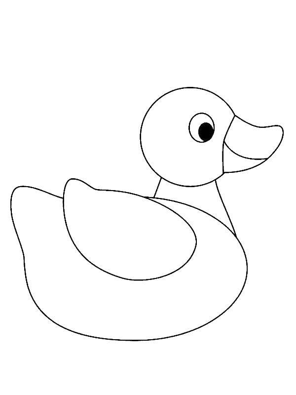 Coloring Duck. Category birds. Tags:  duck, wing, eye.