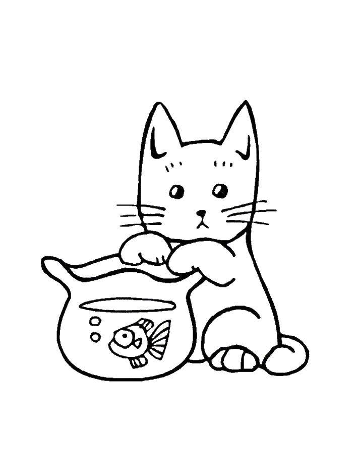 Название: Раскраска Кот ловит рыбку в аквариуме. Категория: котики. Теги: Животные, котёнок.