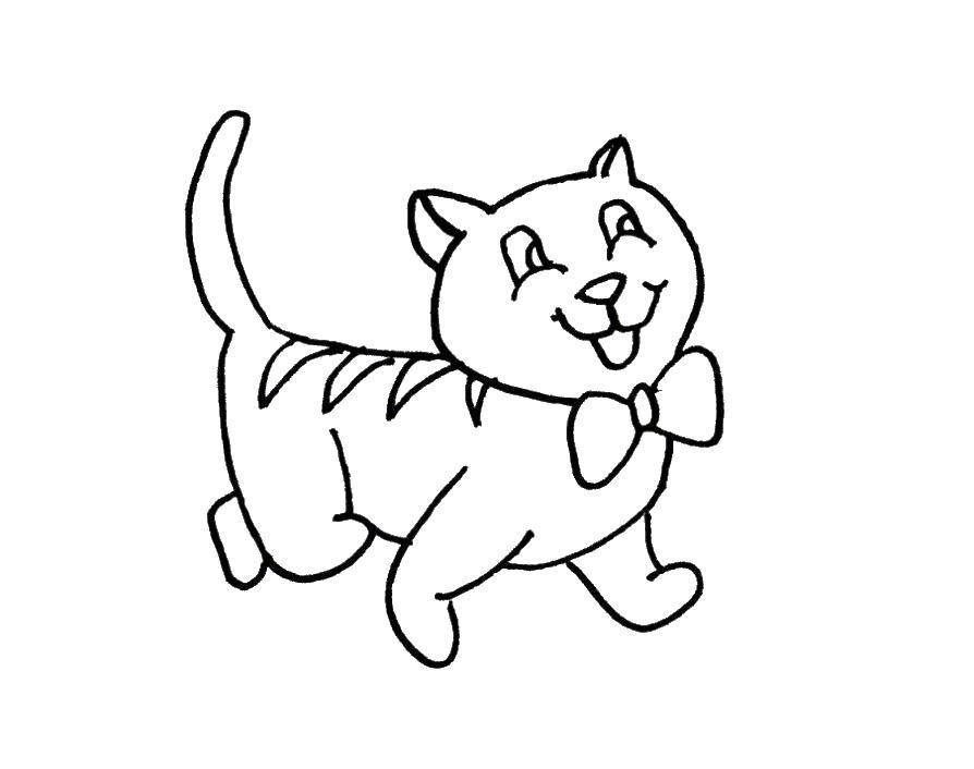Название: Раскраска Кот с бантиком. Категория: котики. Теги: Животные, котёнок.