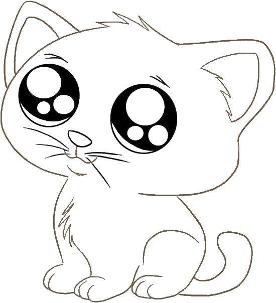 Coloring Little kitty. Category seals. Tags:  Animals, kitten.