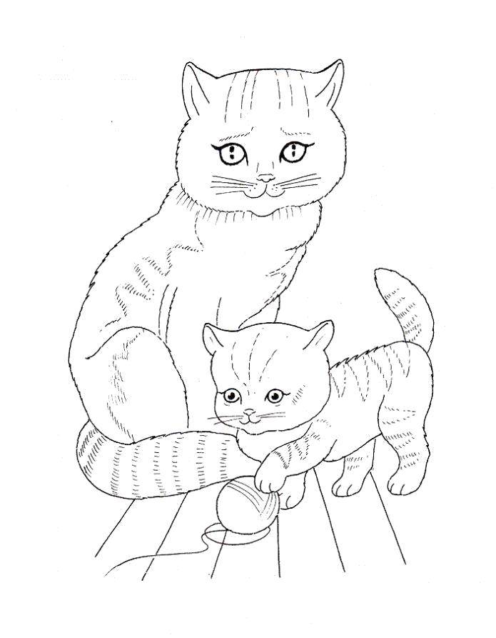 Название: Раскраска Мама кошка с котёнком. Категория: котики. Теги: Животные, котёнок.