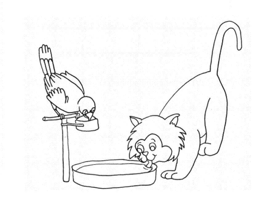 Название: Раскраска Попугай и кот пьют водичку. Категория: котики. Теги: Животные, котёнок.