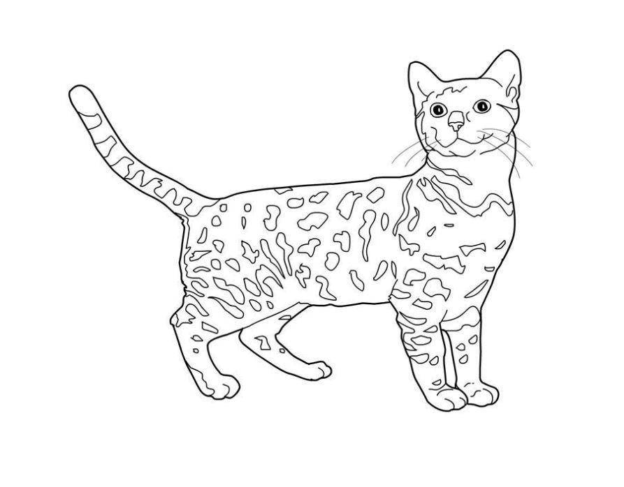Название: Раскраска Пятнистый кот. Категория: котики. Теги: Животные, котёнок.