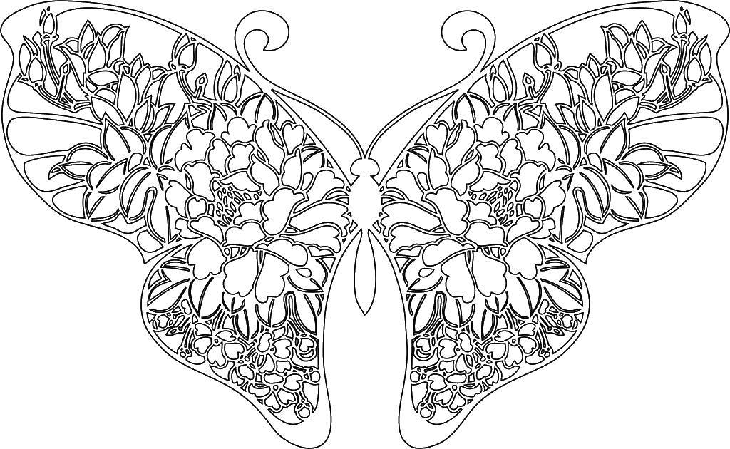 Coloring Butterfly. Category wild animals. Tags:  butterfly.
