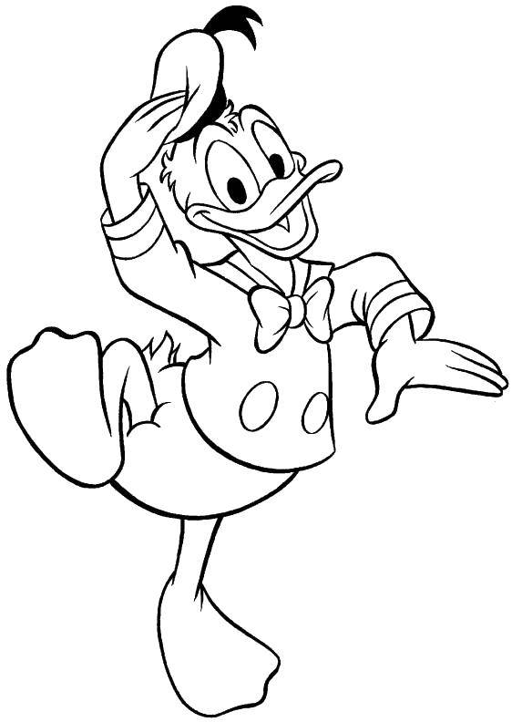 Coloring Donald duck. Category Disney cartoons. Tags:  Disney, Ducktales, Donald Duck.