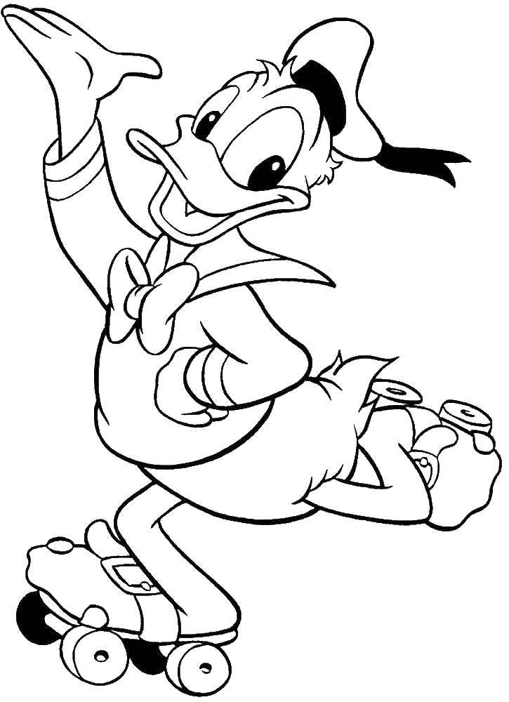 Coloring Donald duck. Category Disney coloring pages. Tags:  Disney, Ducktales, Donald Duck.