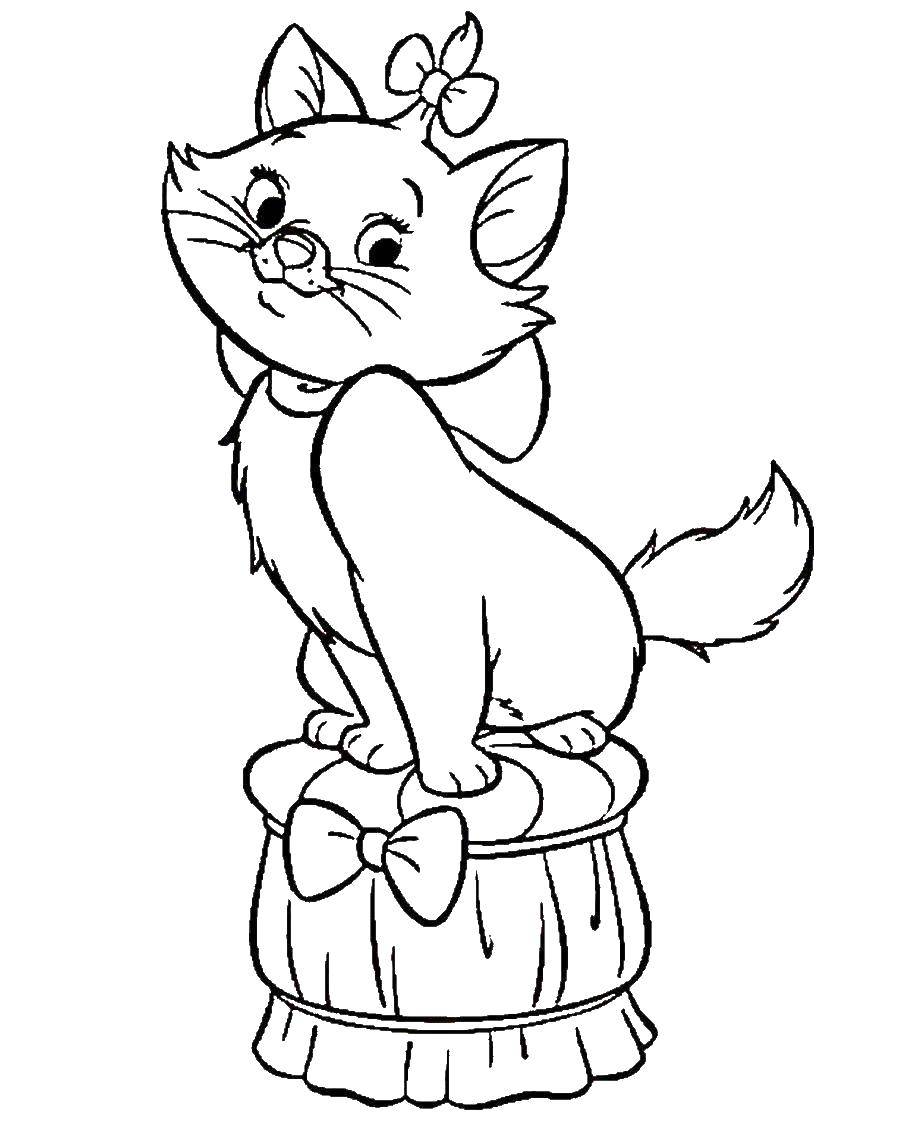 Coloring Kitty with a bow. Category seals. Tags:  Animals, kitten.
