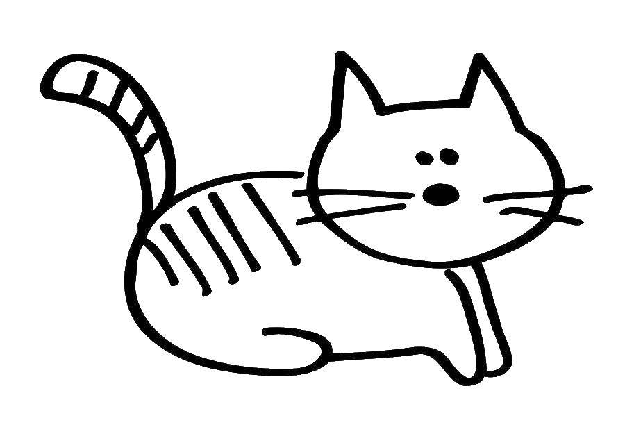 Coloring Cat. Category seals. Tags:  Animals, kitten.