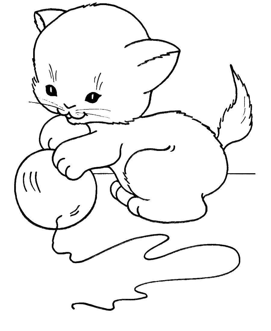 Coloring The kitten plays with a ball. Category Animals. Tags:  Animals, kitten.