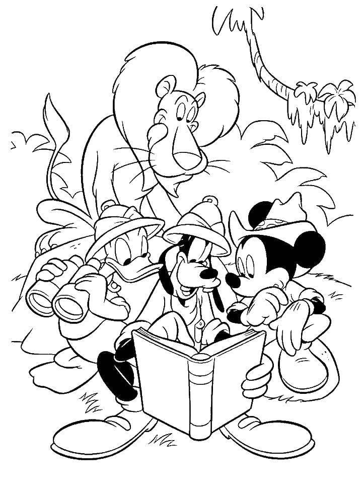 Coloring Mickey, Donald and goofy not to notice the lion. Category Mickey mouse. Tags:  Disney, Mickey Mouse, Donald Duck, Goofy.