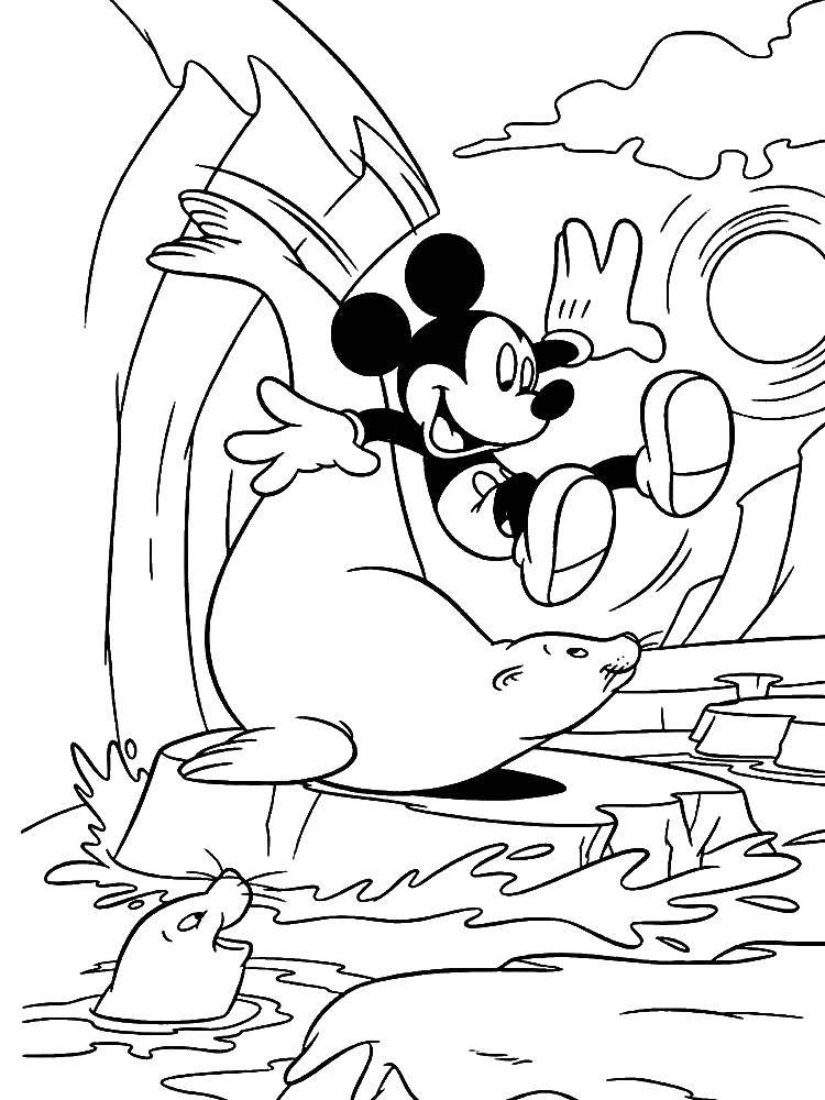 Coloring Mickey mouse plays with tylenchidae. Category Mickey mouse. Tags:  Disney, Mickey Mouse.