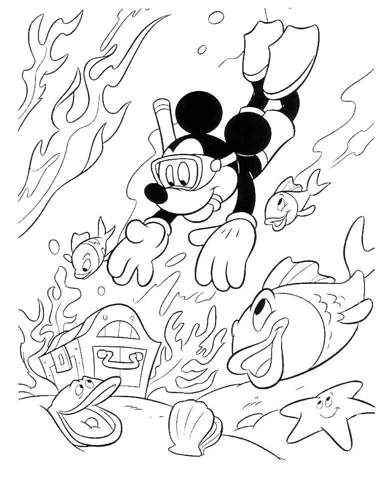 Coloring Mickey in the underwater Kingdom. Category Mickey mouse. Tags:  Disney, Mickey Mouse.