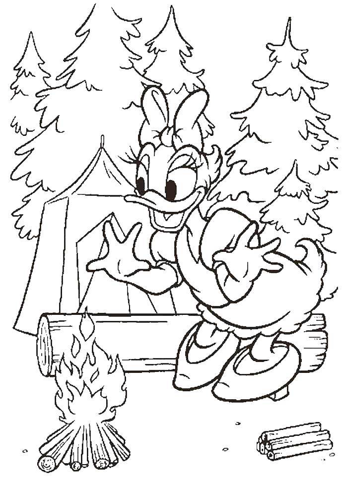 Coloring Ponca campfire. Category Disney coloring pages. Tags:  Disney, Ducktales, Webby.