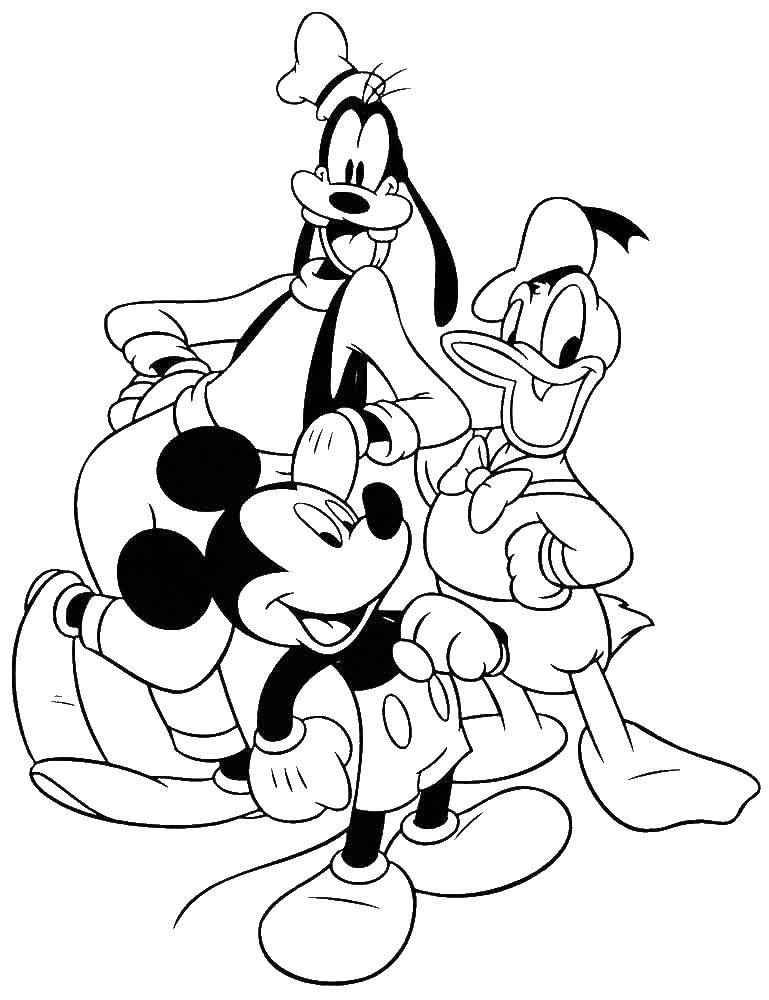 Coloring Mickey, Donald and goofy. Category Mickey mouse. Tags:  Disney, Mickey Mouse, Donald Duck, Goofy.