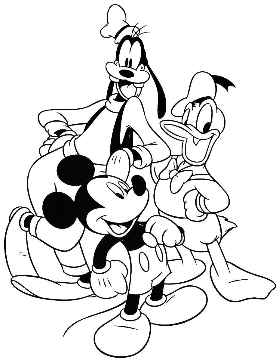 Coloring Mickey, Donald and goofy. Category Disney coloring pages. Tags:  Disney, Mickey Mouse, Donald Duck, Goofy.