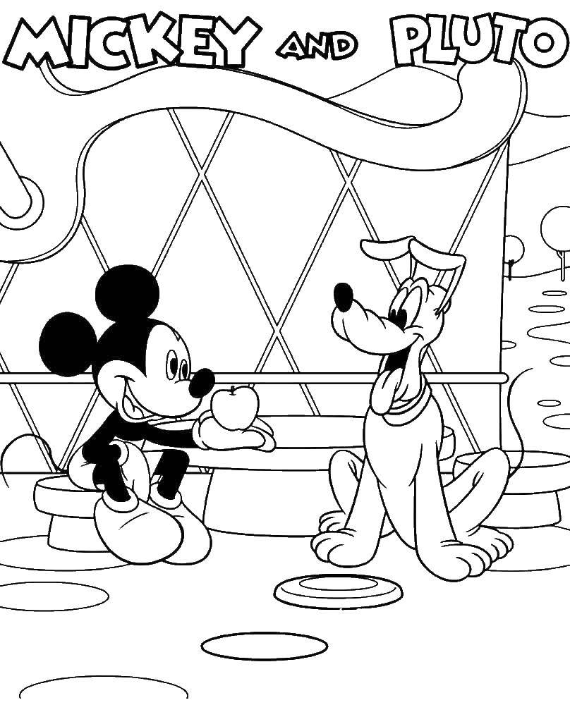 Coloring Mickey and Pluto. Category Disney coloring pages. Tags:  Disney, Mickey Mouse, Pluto.