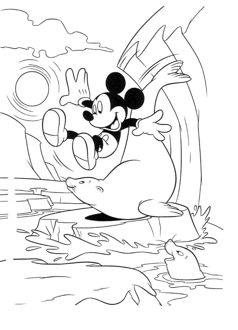 Название: Раскраска Микки маус играет с тюленьчиками. Категория: Диснеевские мультфильмы. Теги: Дисней, Микки Маус.