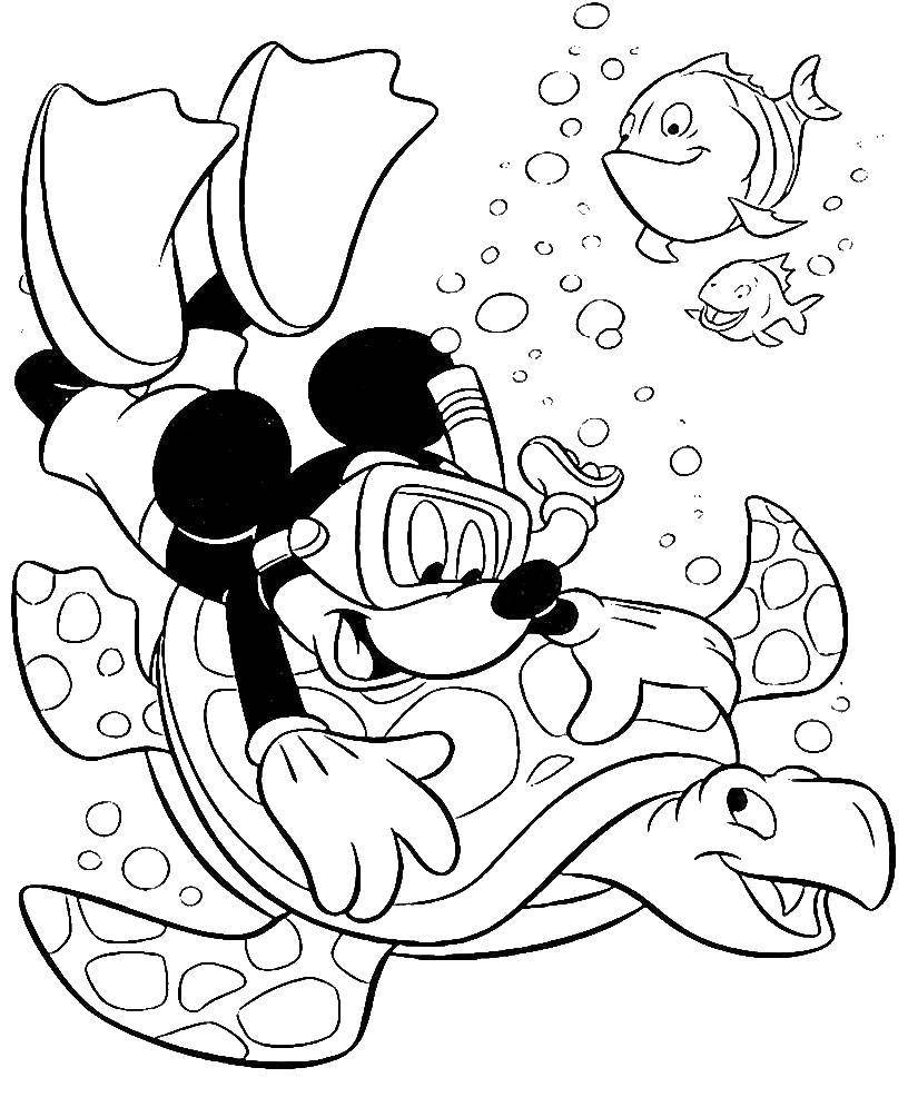 Coloring Mickey swims with a turtle. Category Mickey mouse. Tags:  Disney, Mickey Mouse.