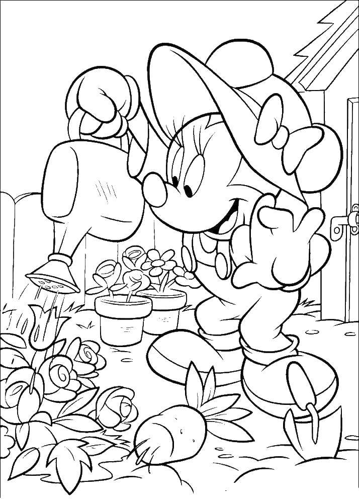 Название: Раскраска Минни поливает цветочки в своём саду. Категория: микки маус. Теги: Дисней, Микки Маус, Минни Маус.