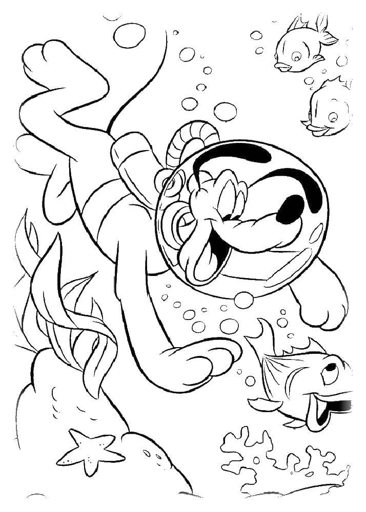 Coloring Pluto under water. Category Mickey mouse. Tags:  Disney, Mickey Mouse, Pluto.