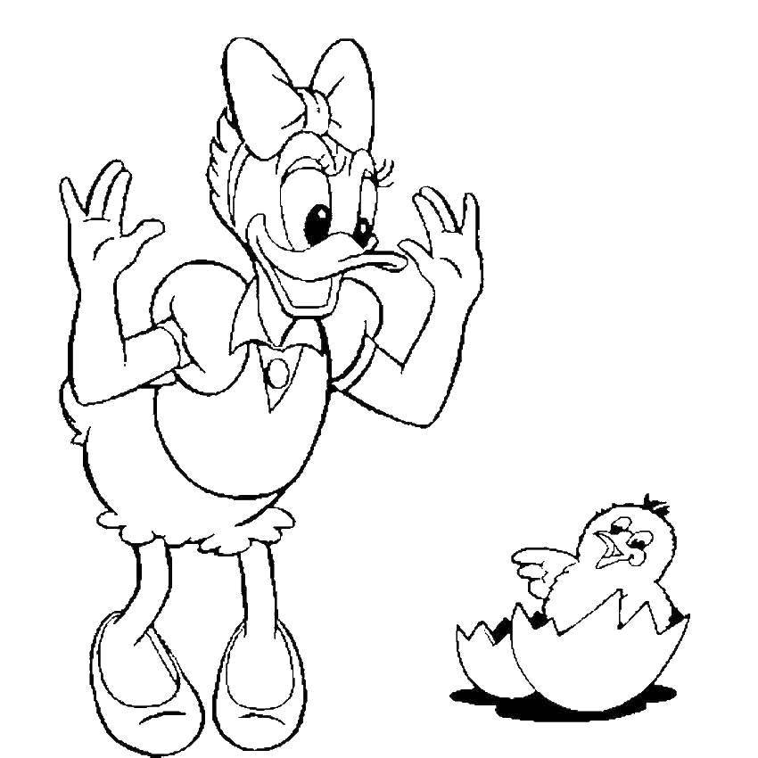 Coloring Ponca and duckling. Category Cartoon character. Tags:  Disney, Ducktales, Webby.