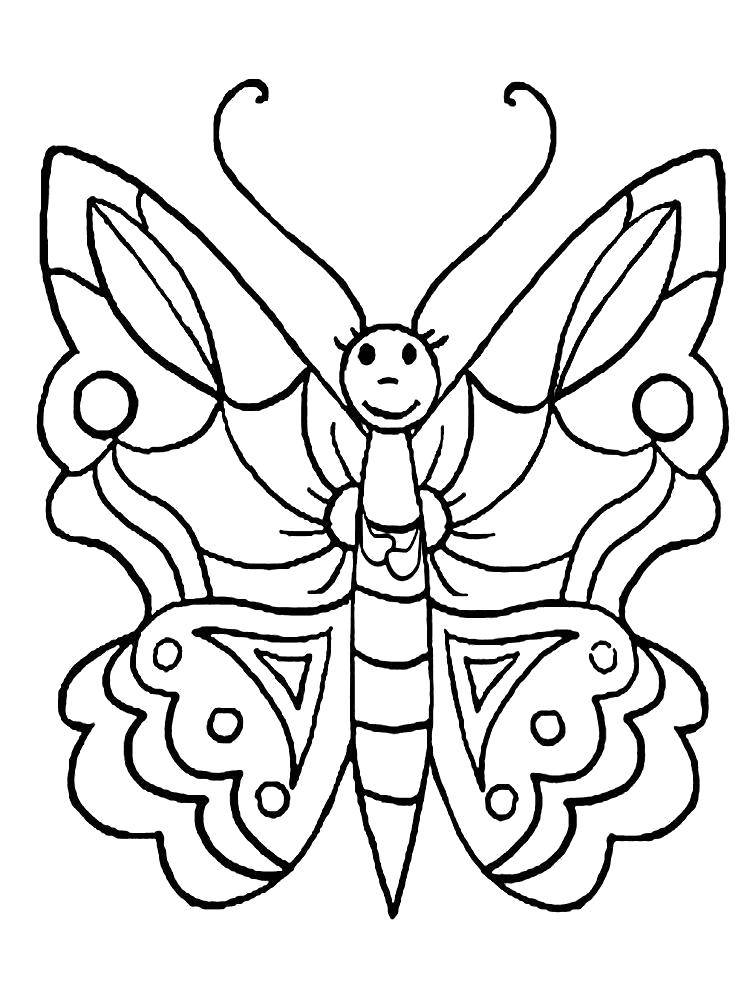 Название: Раскраска Бабочка. Категория: Животные. Теги: бабочки.