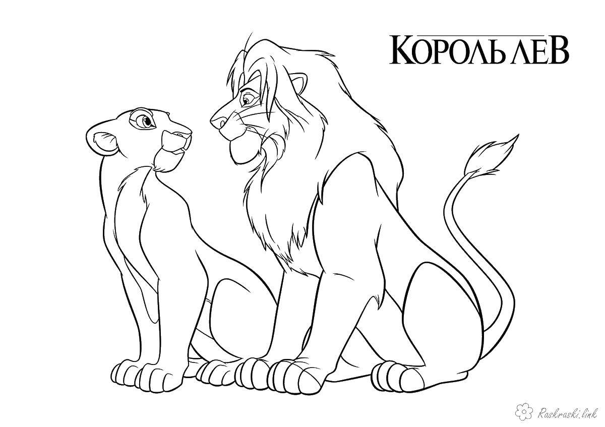 kovu and kiara coloring pages