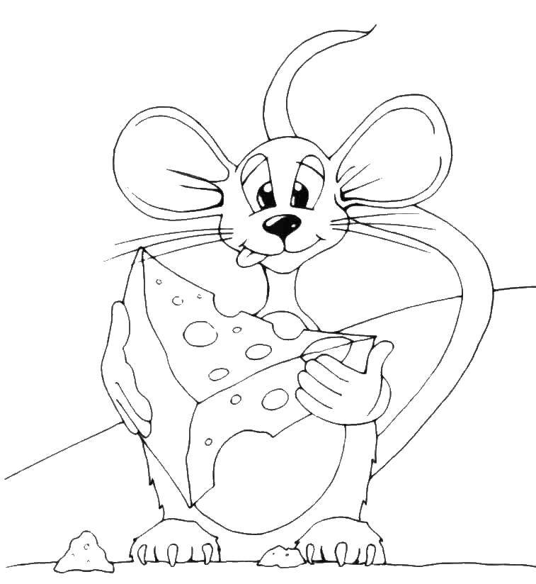 Название: Раскраска Мышка с сыром. Категория: Животные. Теги: мыш, сыр.