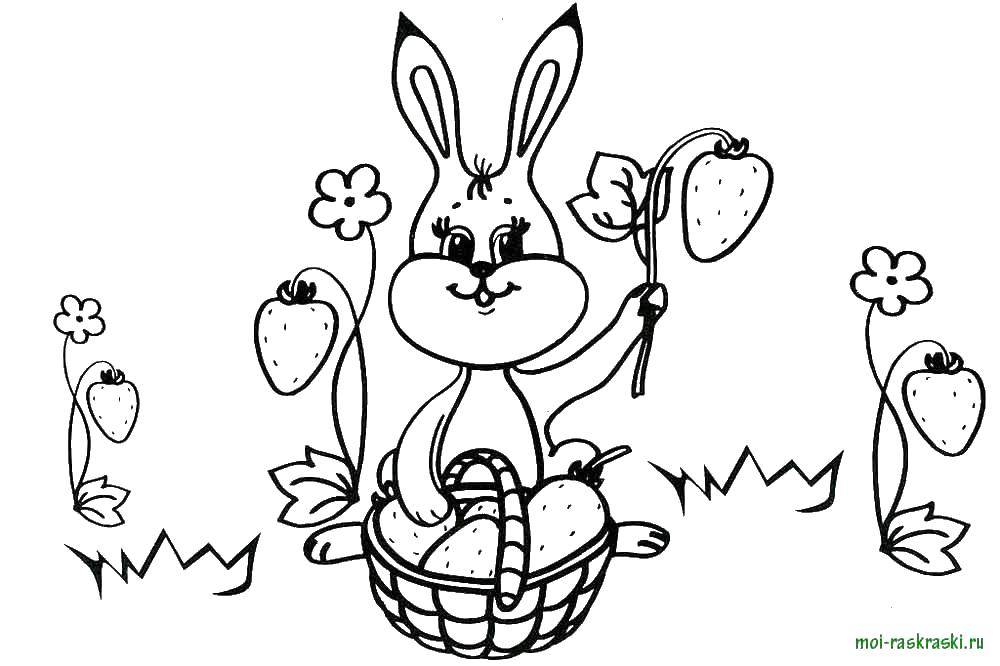 Coloring Rabbit with strawberry. Category Coloring pages for kids. Tags:  Bunny with a strawberry.