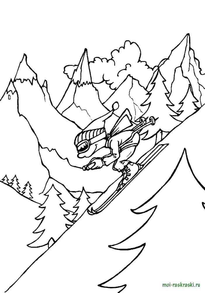 Название: Раскраска Лыжник. Категория: простые раскраски. Теги: лыжник, ели, гора.
