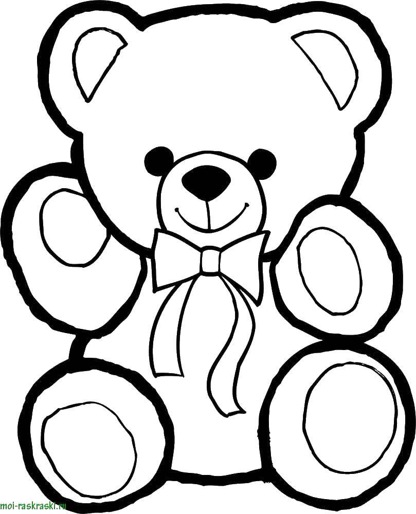 Coloring Bear. Category toy. Tags:  bear .