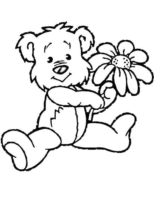 Розмальовки  Мишко з квіточкою. Завантажити розмальовку Іграшка, ведмідь.  Роздрукувати ,ведмедики з квітами,