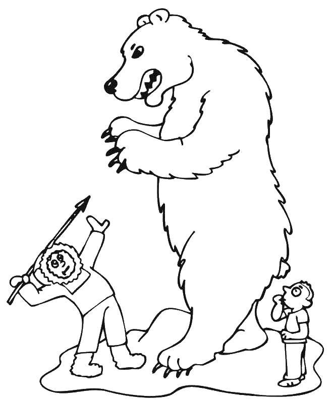 Розмальовки  Напад білого ведмедя. Завантажити розмальовку Тварини, білий ведмідь.  Роздрукувати ,дикі тварини,